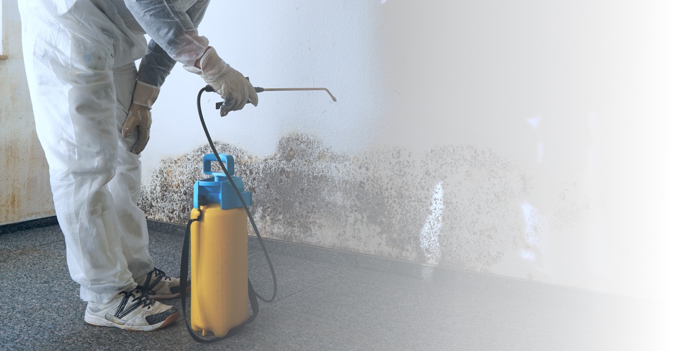 specialist in combating mold in an apartment durham nc