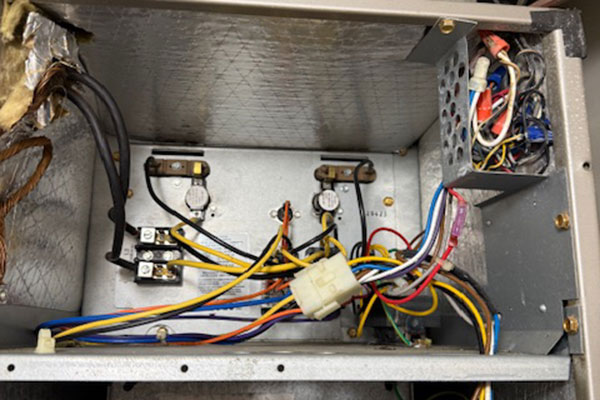 Local Mold Removal and Air Duct Cleaning Services