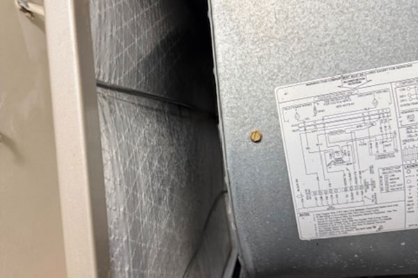 Mold Removal and Air Duct Cleaning Services