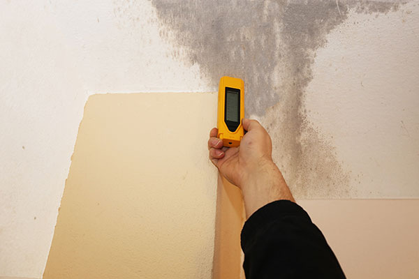 Mold Testing Services