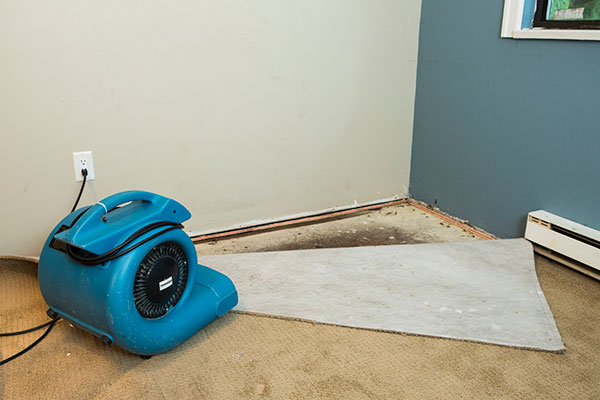 Water Damage Remediation Services